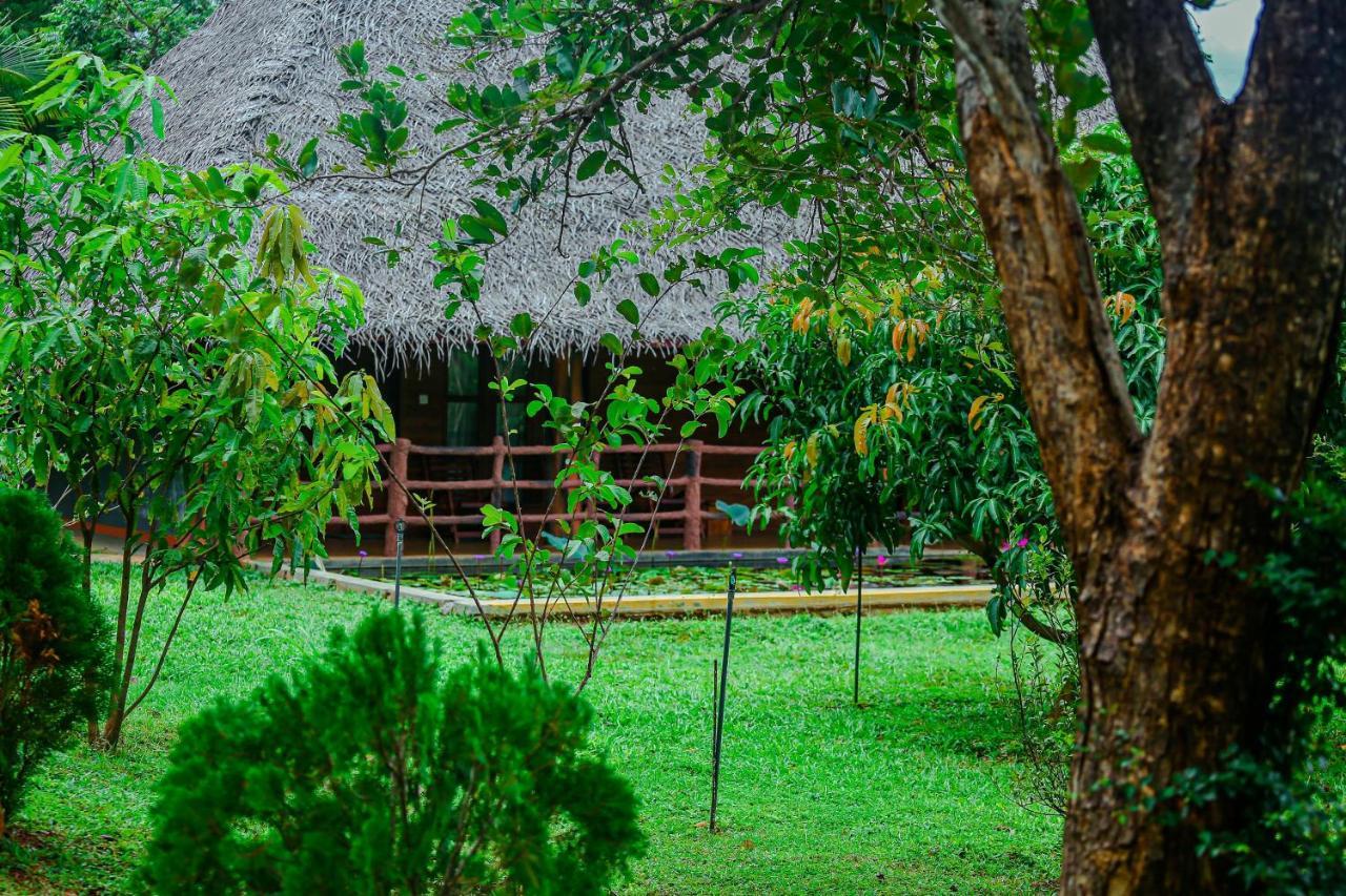 Sigiriya Water Cottage Buitenkant foto