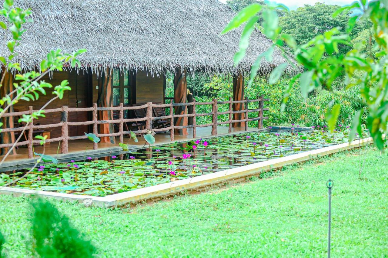 Sigiriya Water Cottage Buitenkant foto