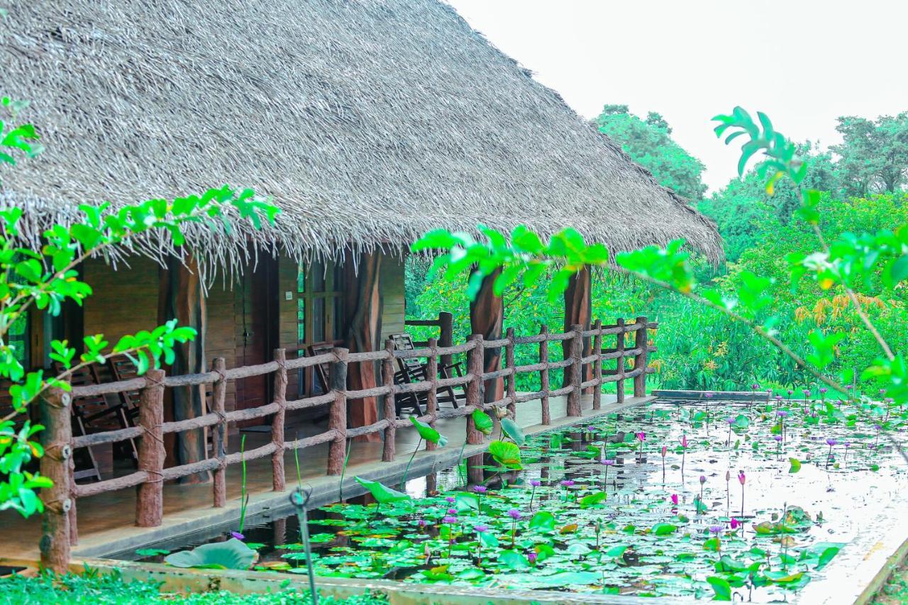 Sigiriya Water Cottage Buitenkant foto