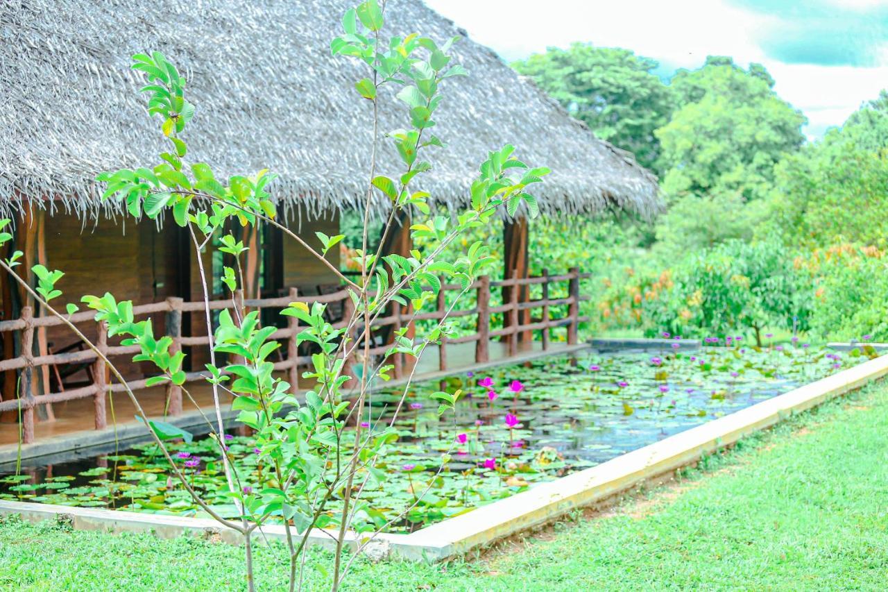 Sigiriya Water Cottage Buitenkant foto